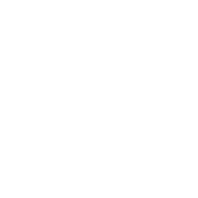 Logo - Icon White