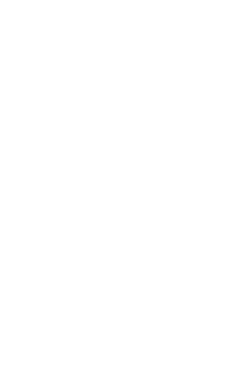 SDN (Dynamic SDN Policy) Symbol Light