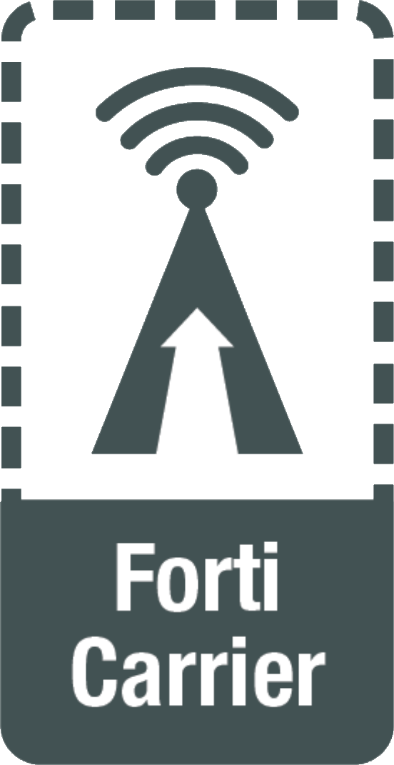 Form Factor Forti Converter