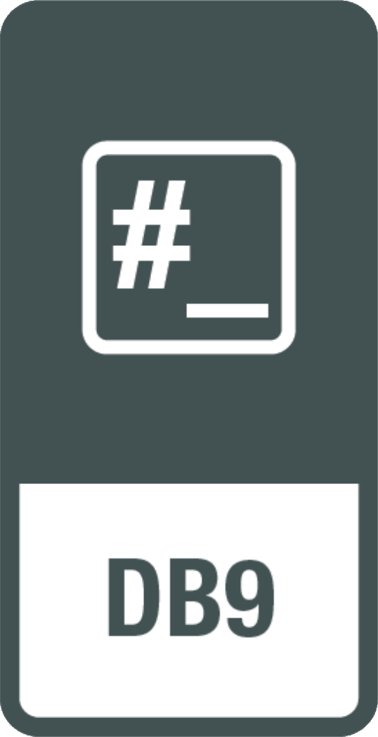 Interface DB9