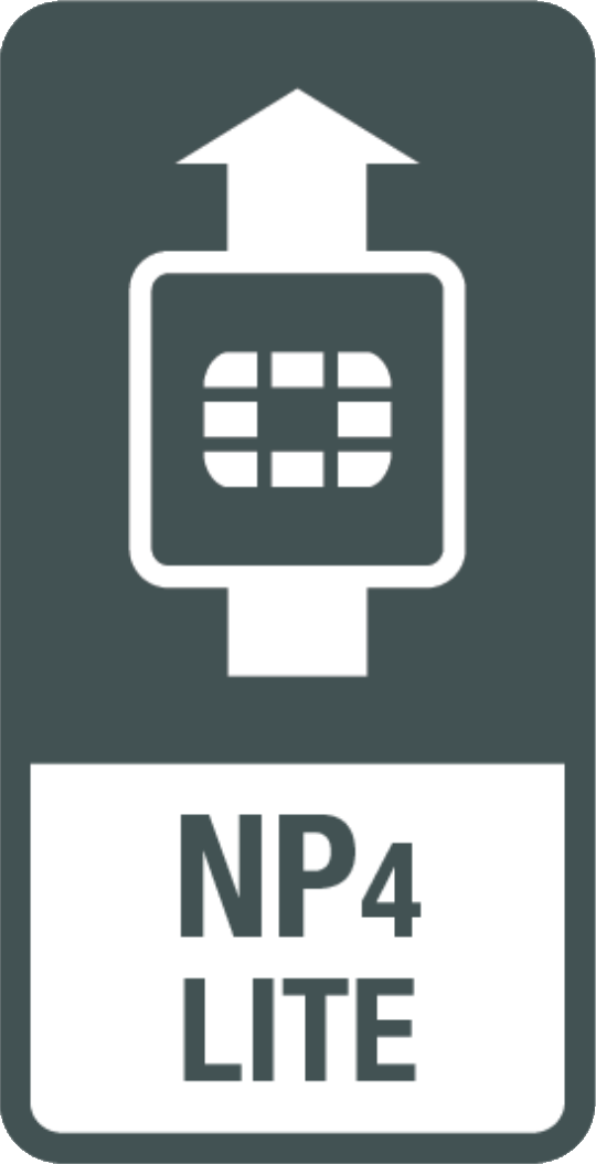 Processor NP4 Lite