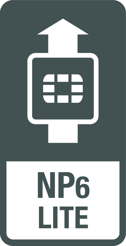 Processor NP6 Lite
