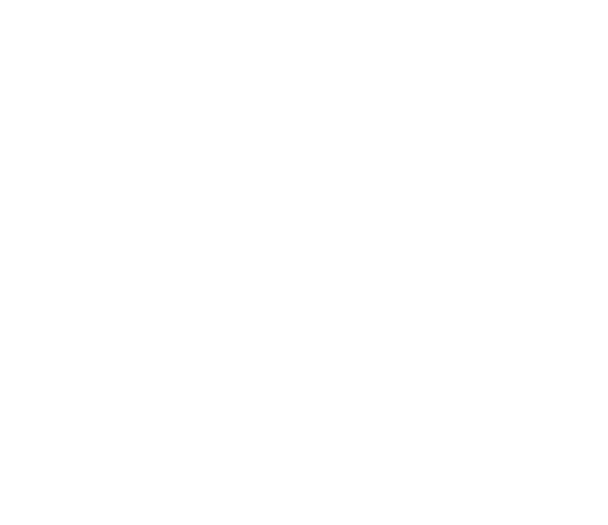 Data Leakage Prevention Light