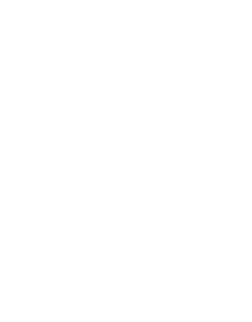 Anti-botnet FortiGuard Light