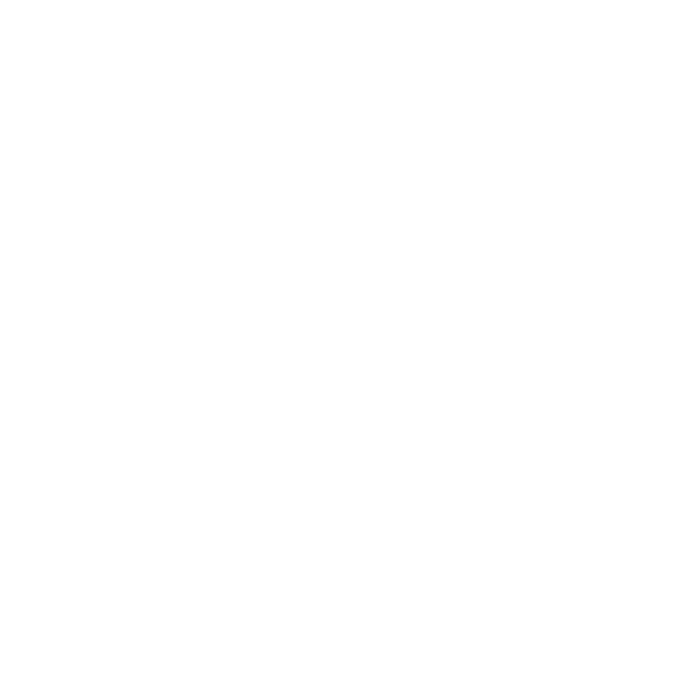 Anti-botnet GPT Light