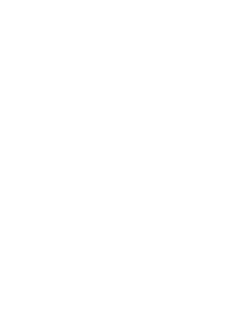 Intrusion Prevention FortiGuard Light
