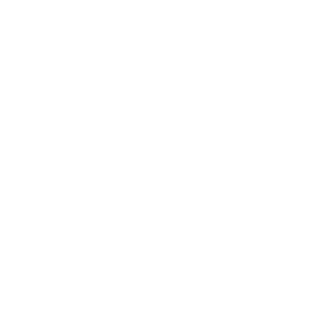 Vulnerability Management GPT Light