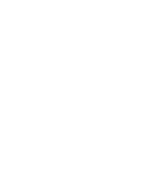 Web Filtering FortiGuard Light
