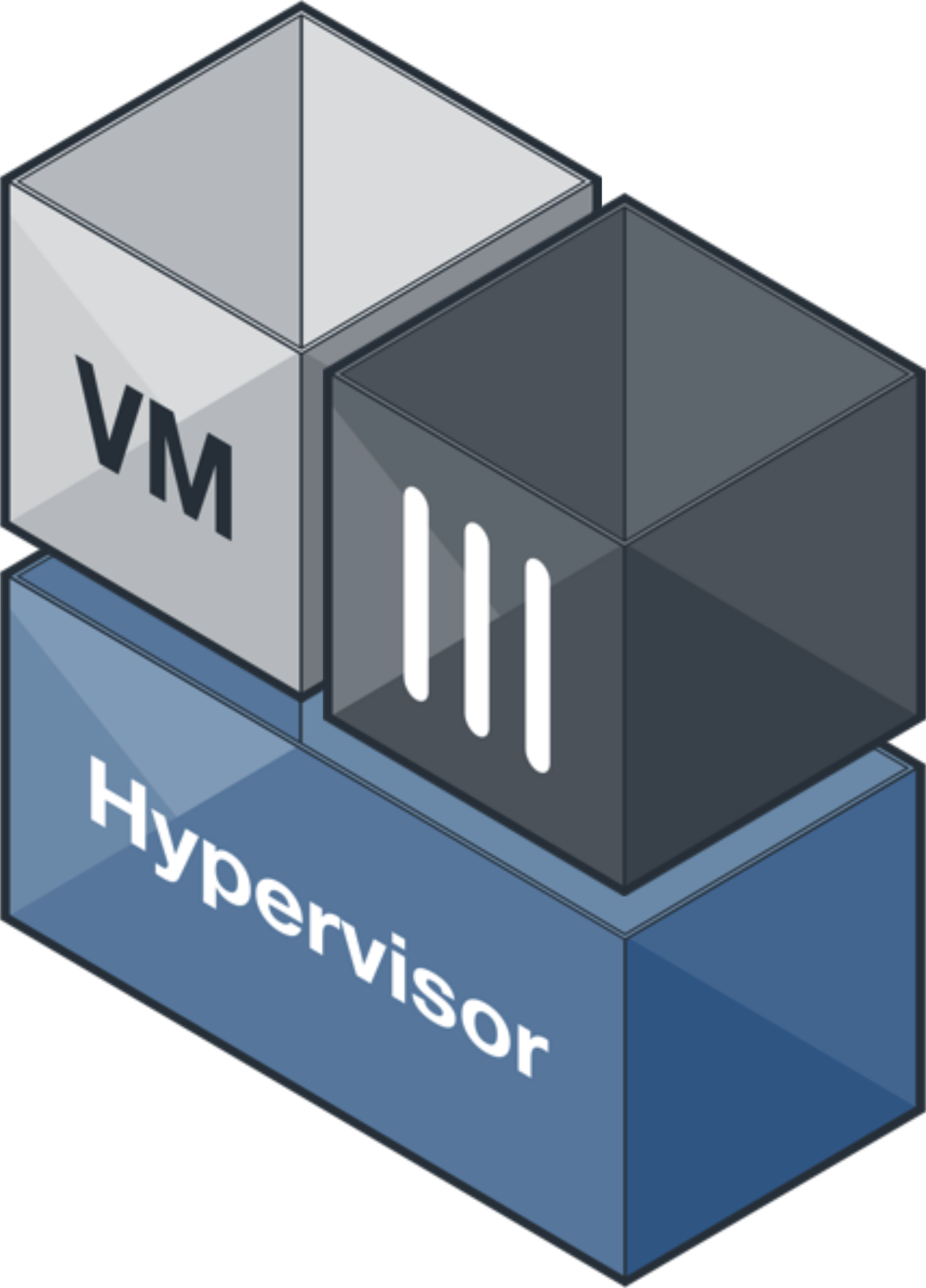 Hypervisor