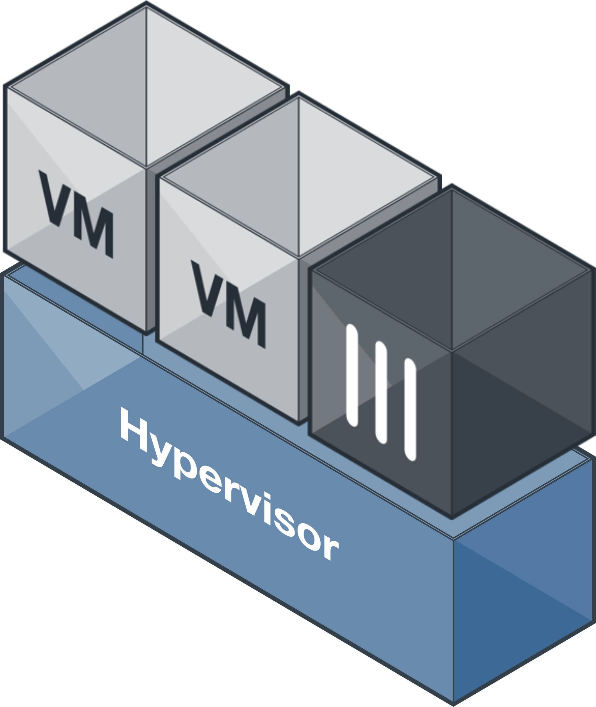 Hypervisor