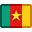 flag-cameroon