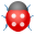 bug
