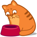 cat_hungry