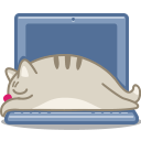 cat_laptop