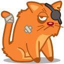 cat_pirate