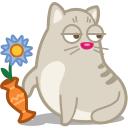 cat_rascal