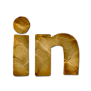 linkedin-logo