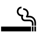 smoking_allowed