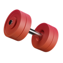 gym-dynamic-color