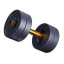 gym-dynamic-premium