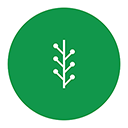 newsvine