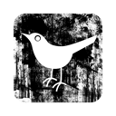 097736-twitter-bird2-square