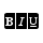 biu_logo_2