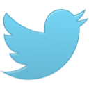 bird_twitter_new_single