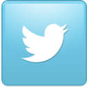 bird_twitter_new_square