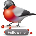 bullfinch_1