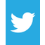 twitter_32x41