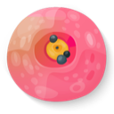 Sushi14