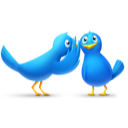 gossip_birds