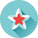 Star_full