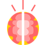 brain